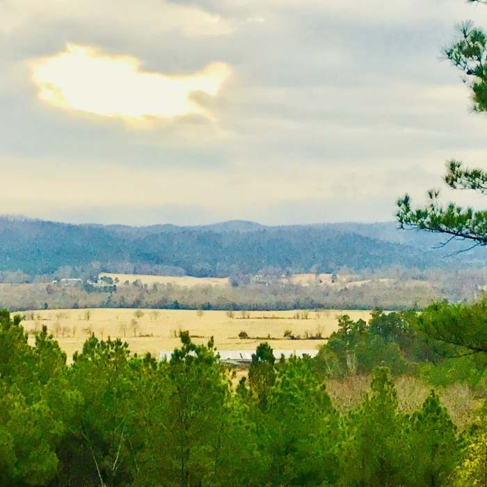 Near Serendipity Trail