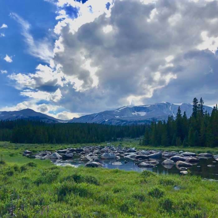 Near Sherd Lake Loop