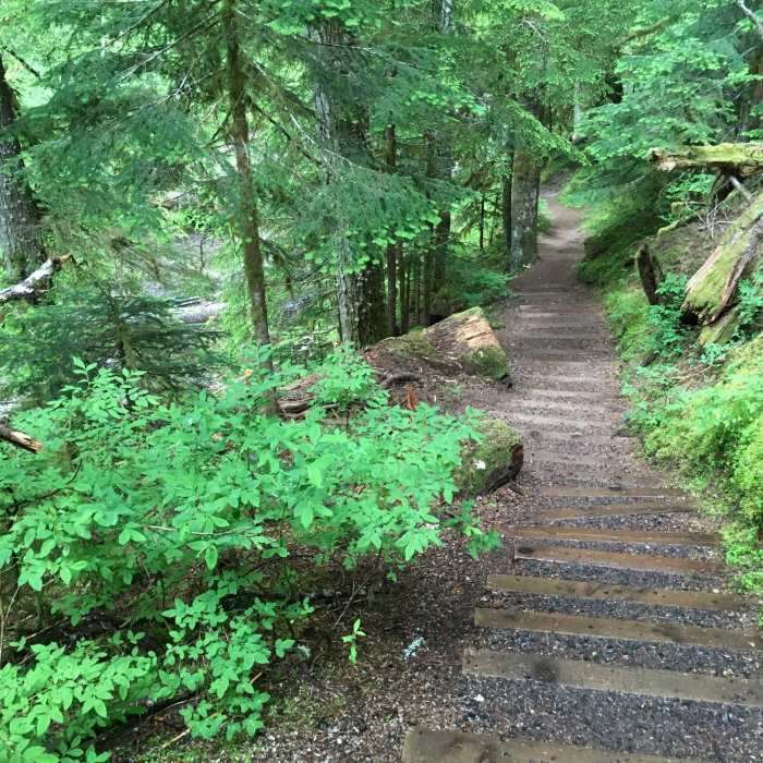 Near Iron Creek Falls