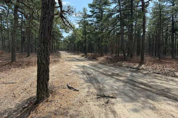 Jones Road Trail
