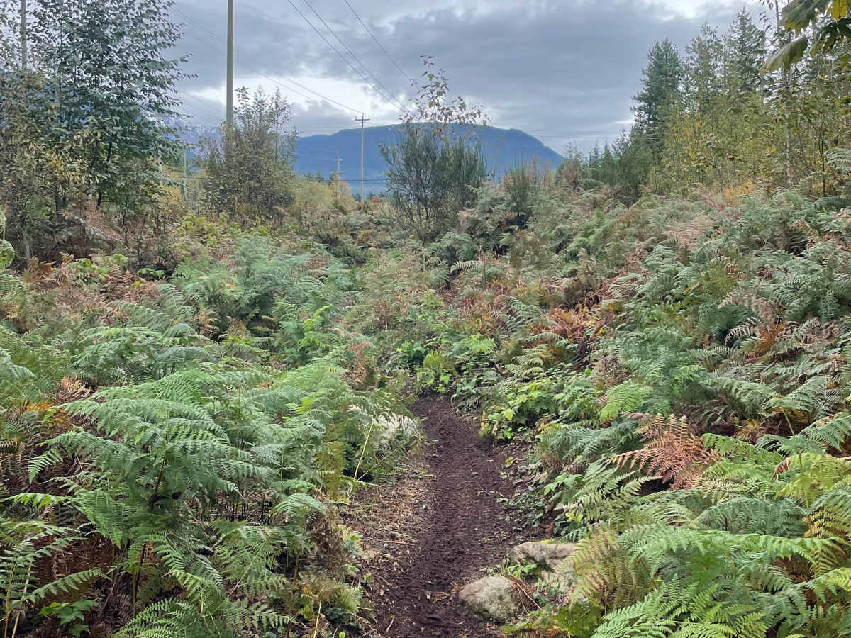Fern Turns photo 5