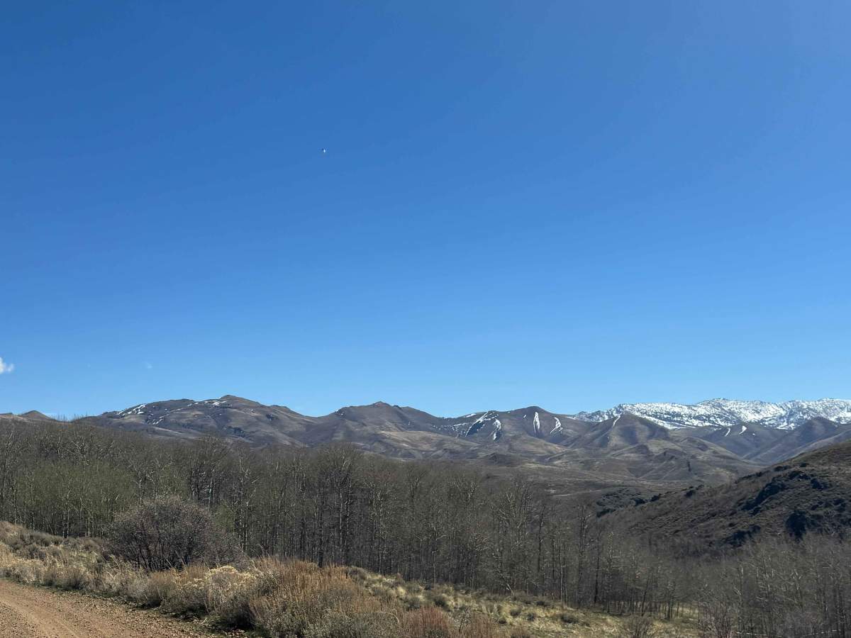 Trail Creek Road - FS 56729 photo 6