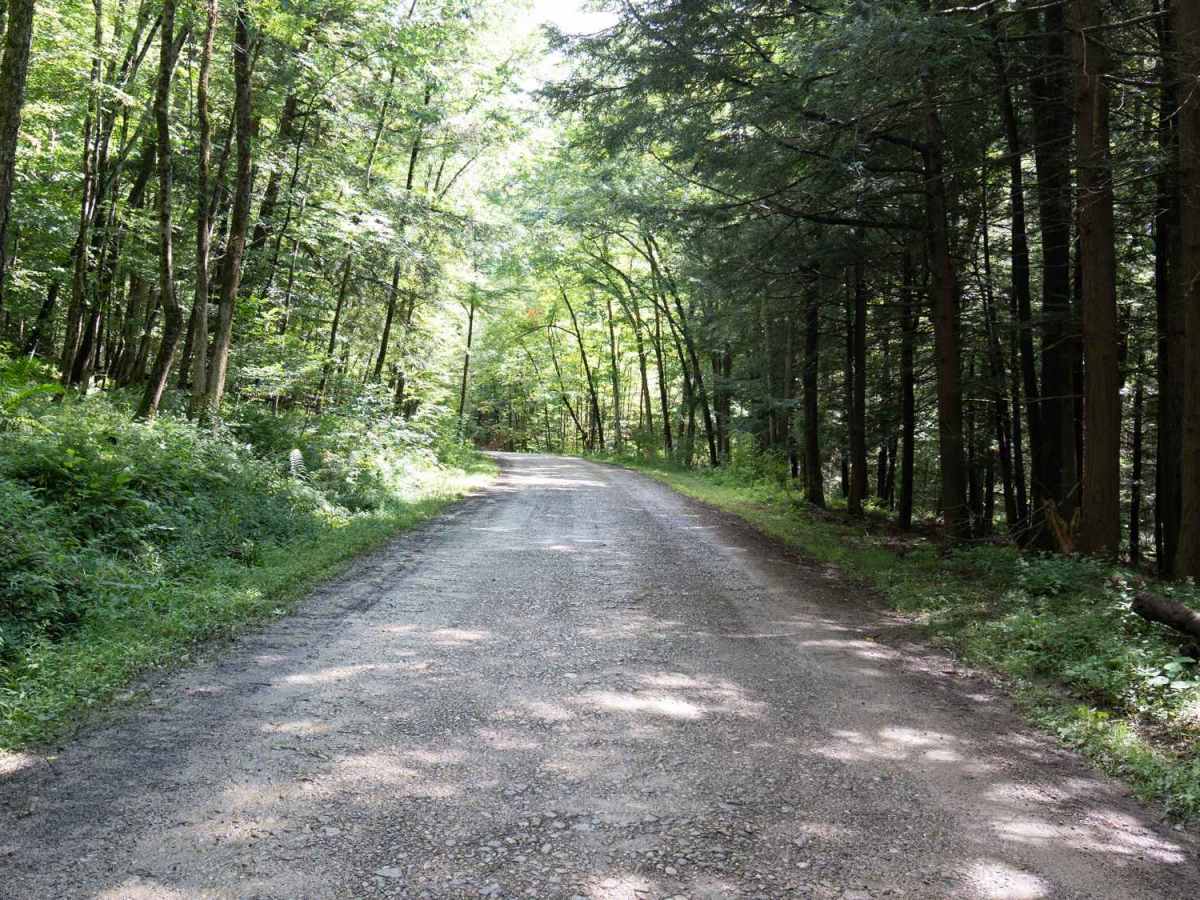 Lime Stone Run Road photo 2