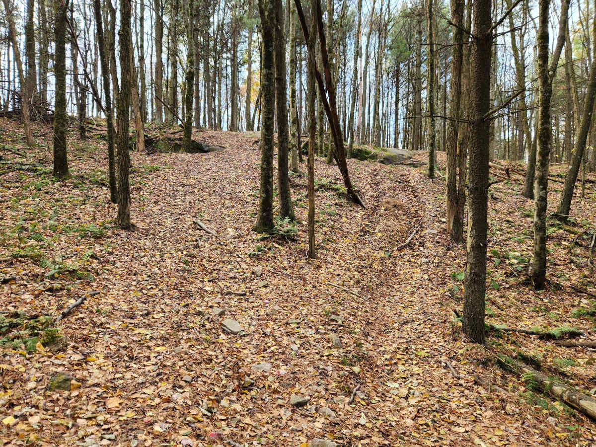 OHV 6 - Rock Run Recreation Area photo 6