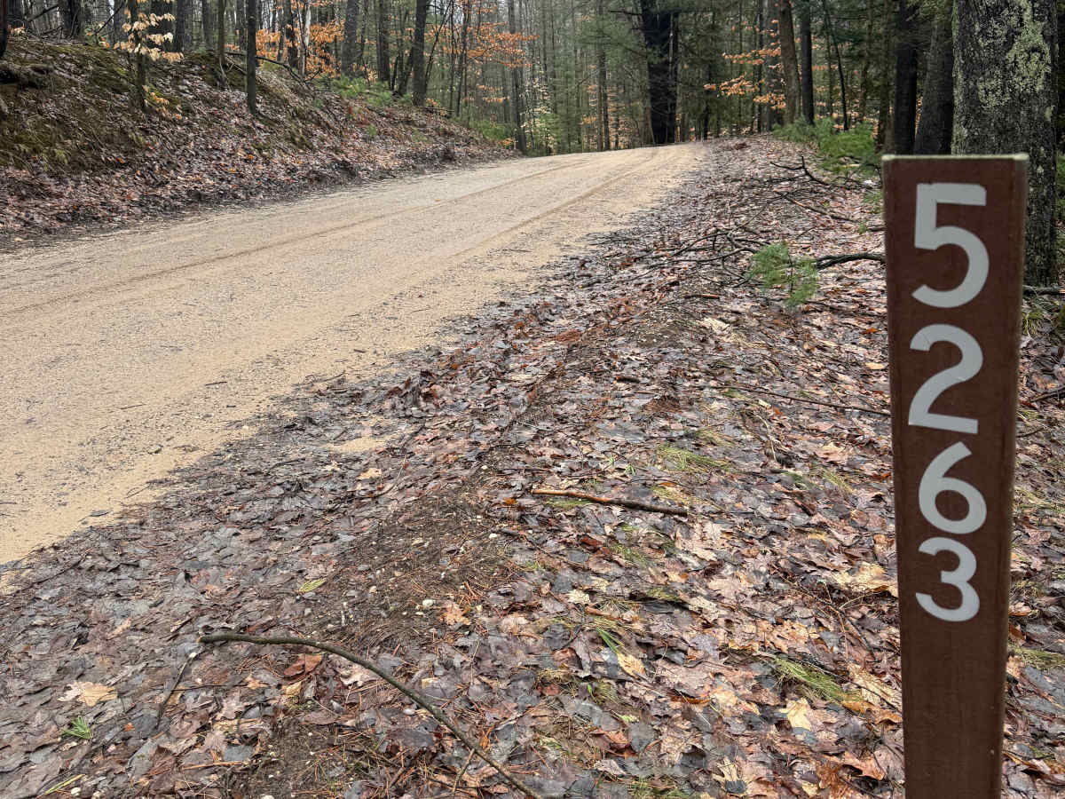 NFS 5263 trail photo