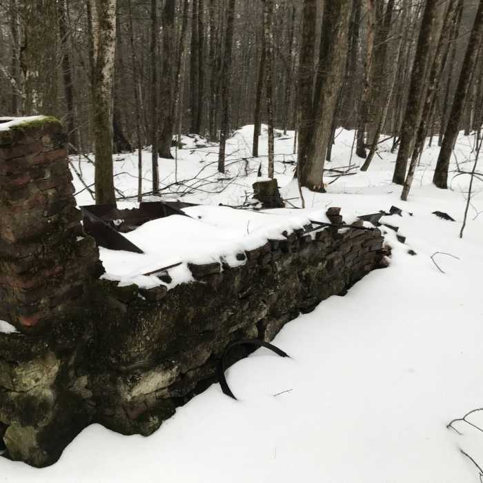 Near Bog Mountain Trail