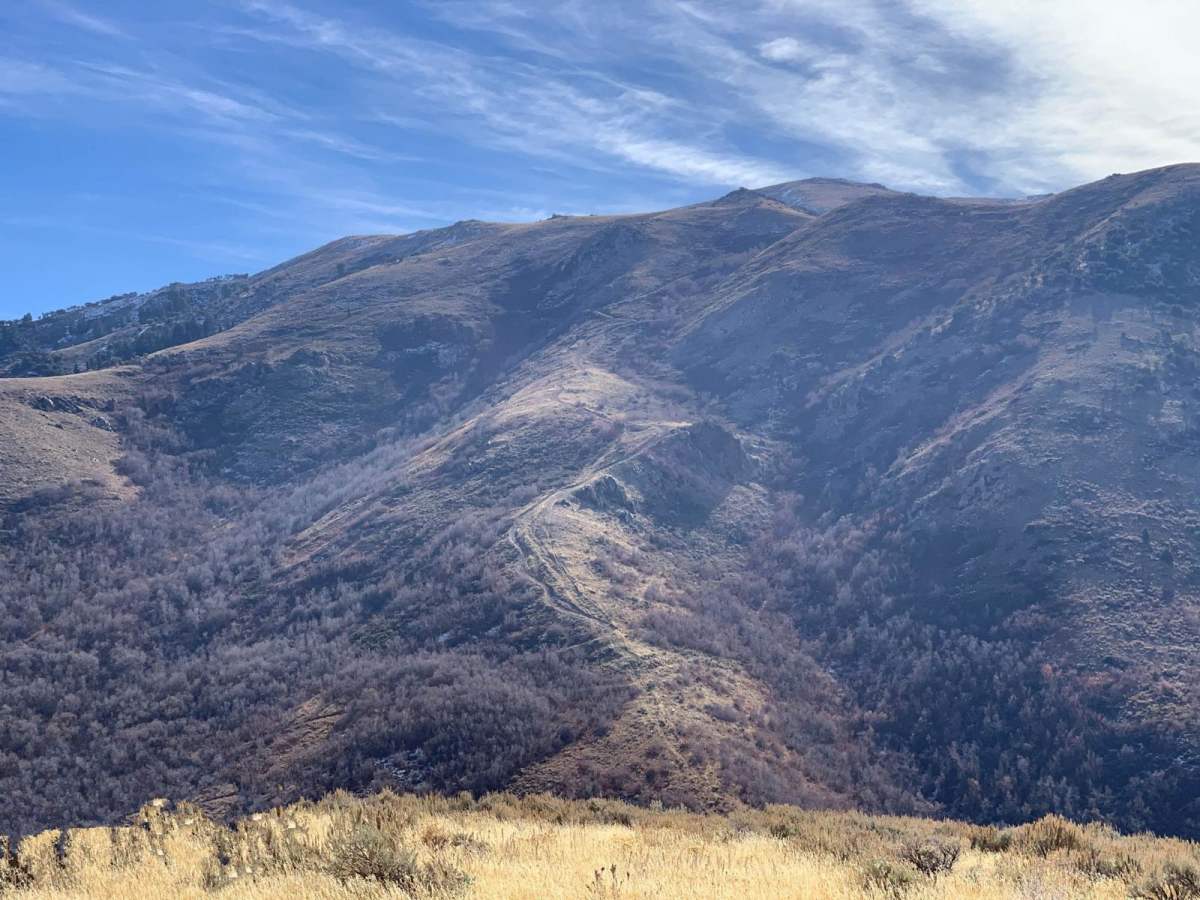 Dunns Canyon trail photo