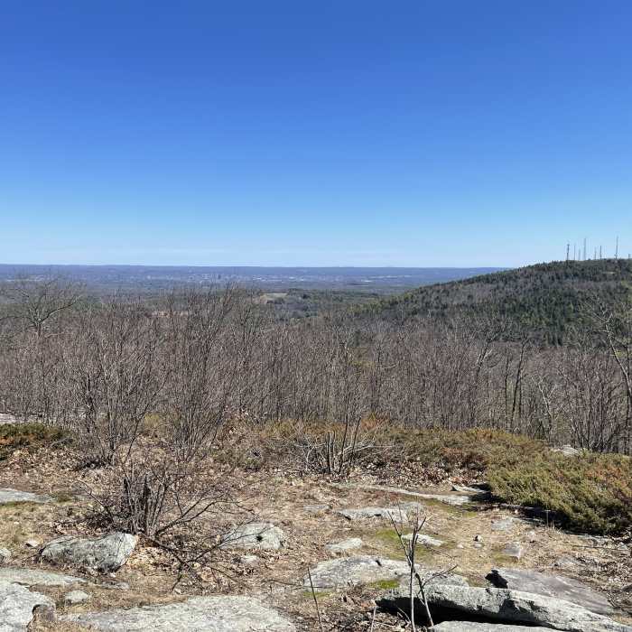 Near White Dot Trail