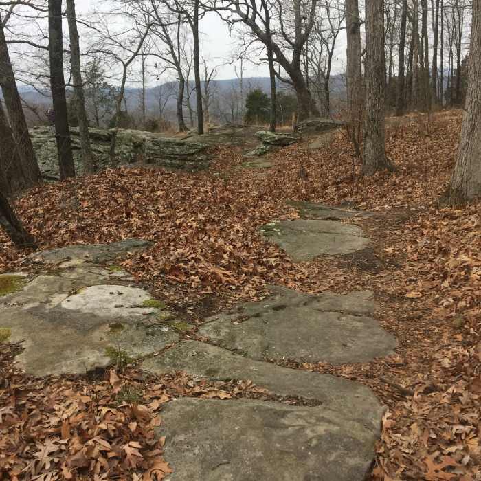Near Indian Point Loop Trail