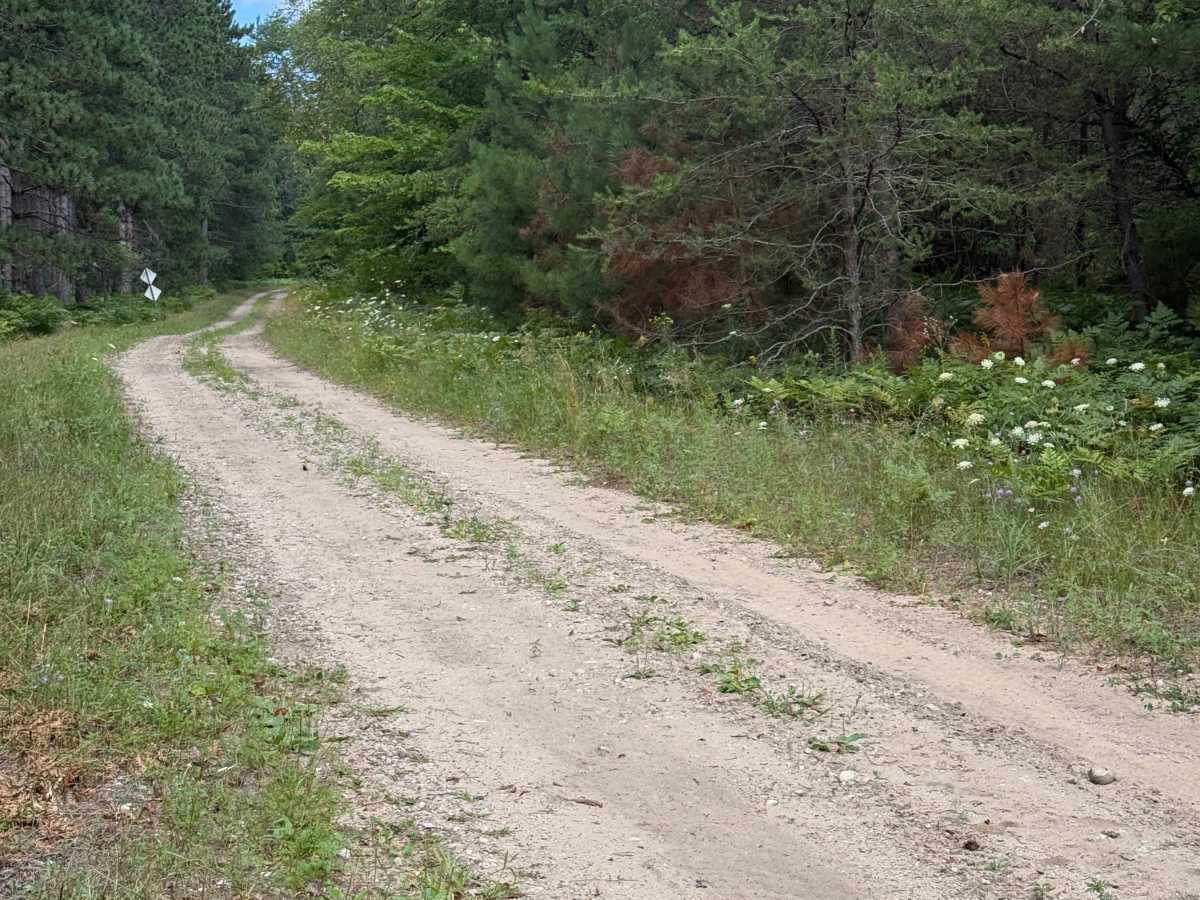 Deer Trail photo 2