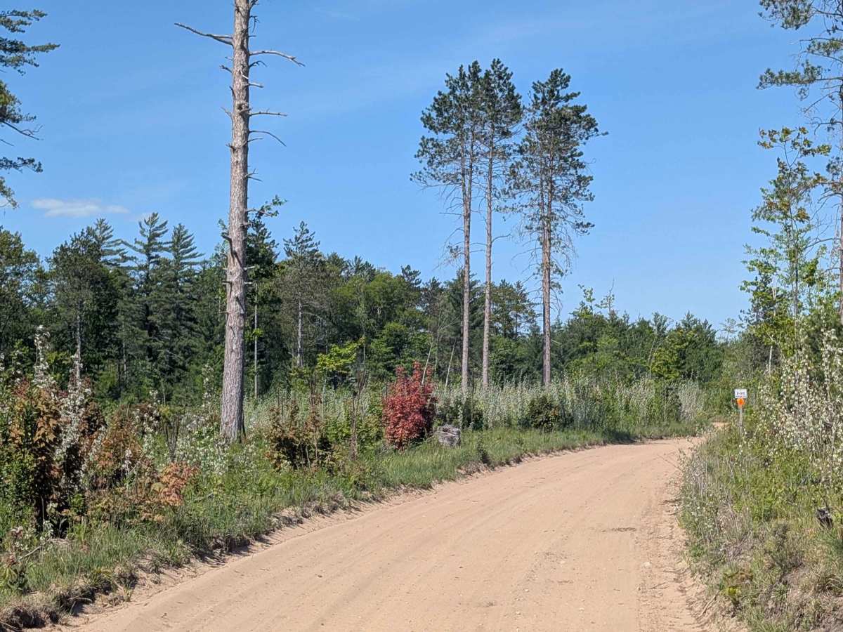 North Missaukee Route (Section 1) trail photo