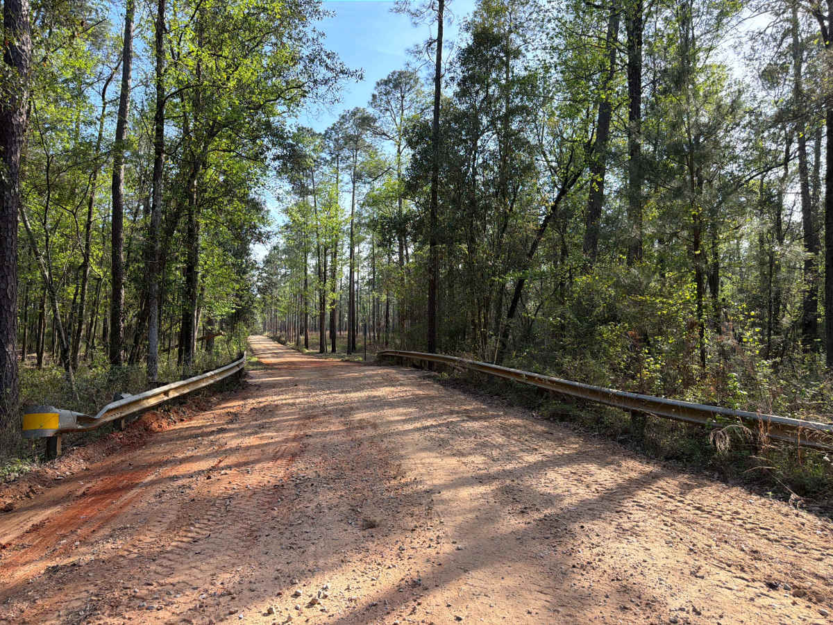 Three Notch Trail trail photo
