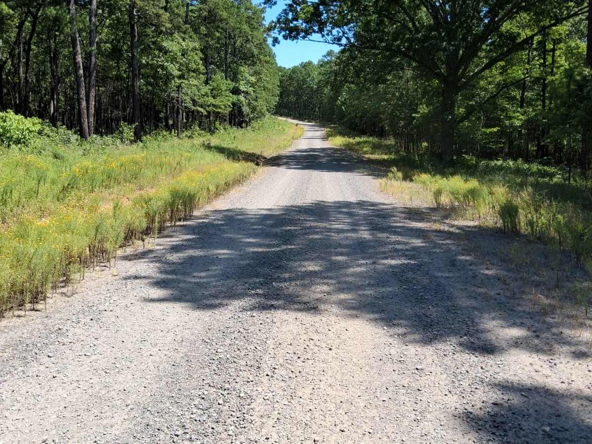 Gulf Mountain Road photo 2