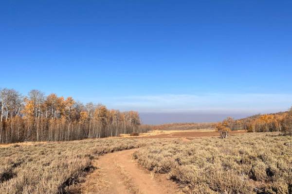 Grove Creek Road