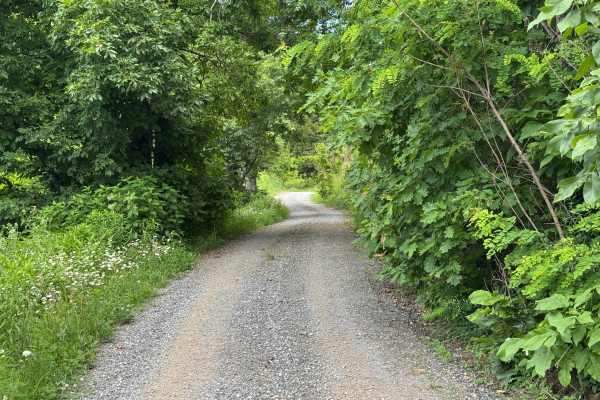 Sugar Creek Gap - FS 4665
