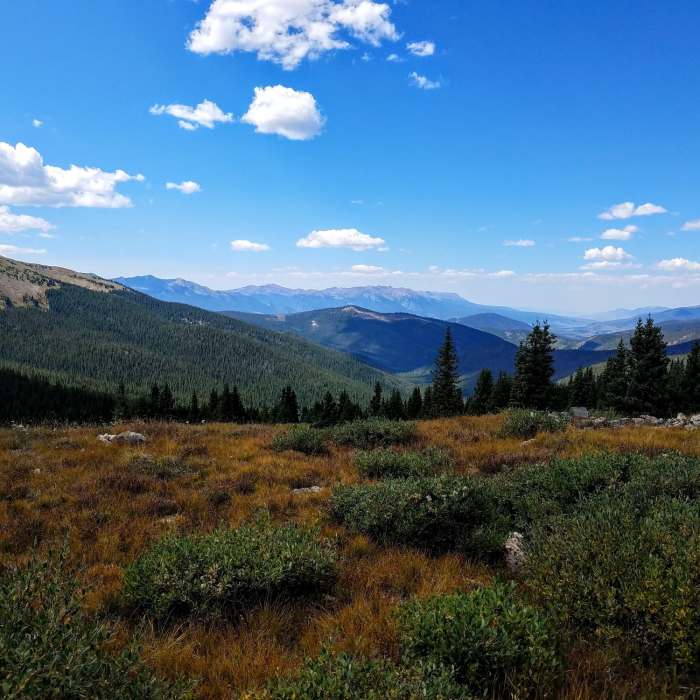 Near Colorado Trail: Georgia Pass to Breckenridge