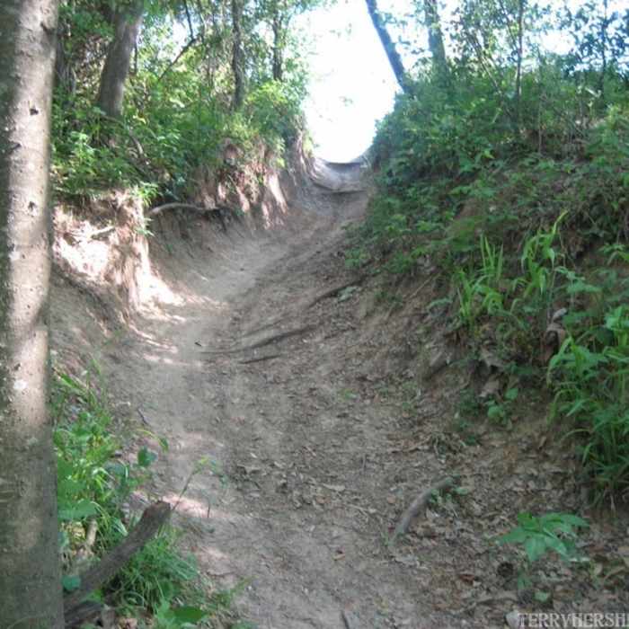 Near Terry Hershey Hike and Bike Trail