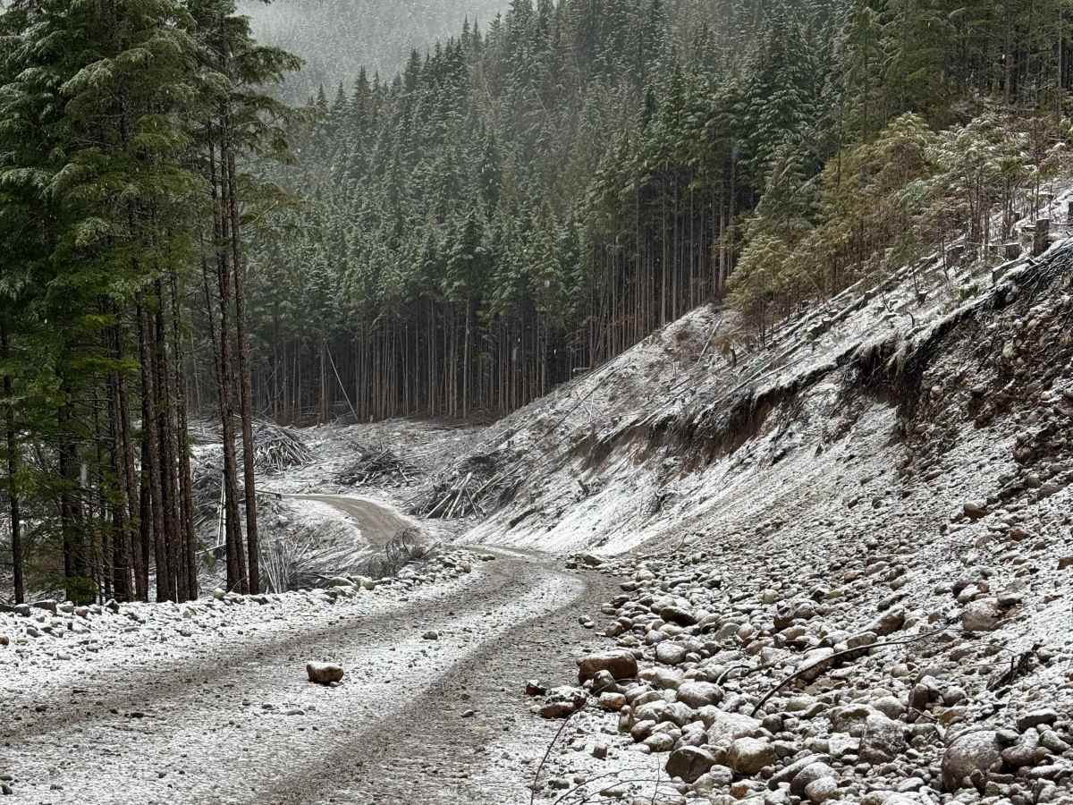 Copper River Road photo 5