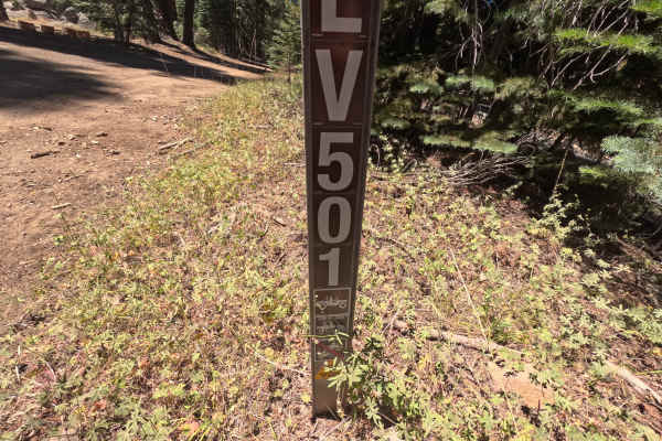 FS 17EV501