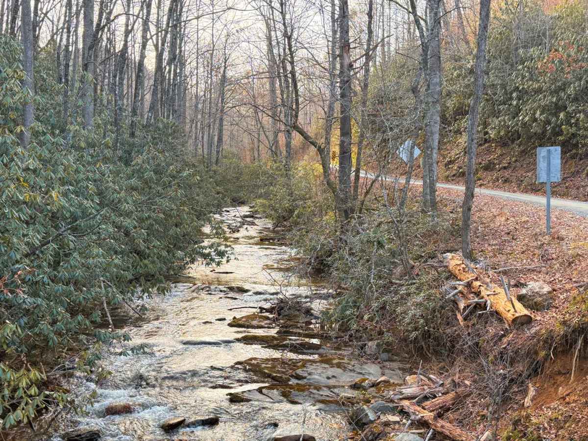 Cathey's Creek Road - FS 471 photo 4