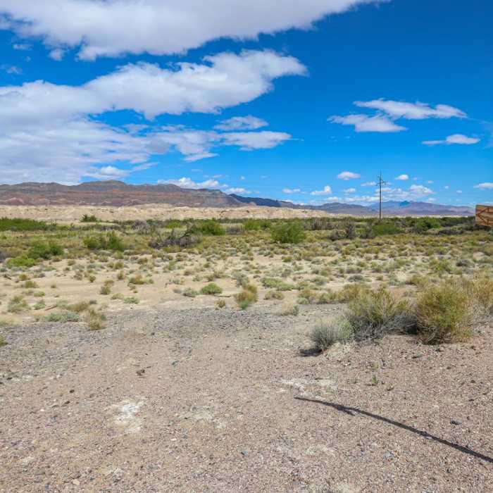 Near Shoshone Wetlands Birding Trails