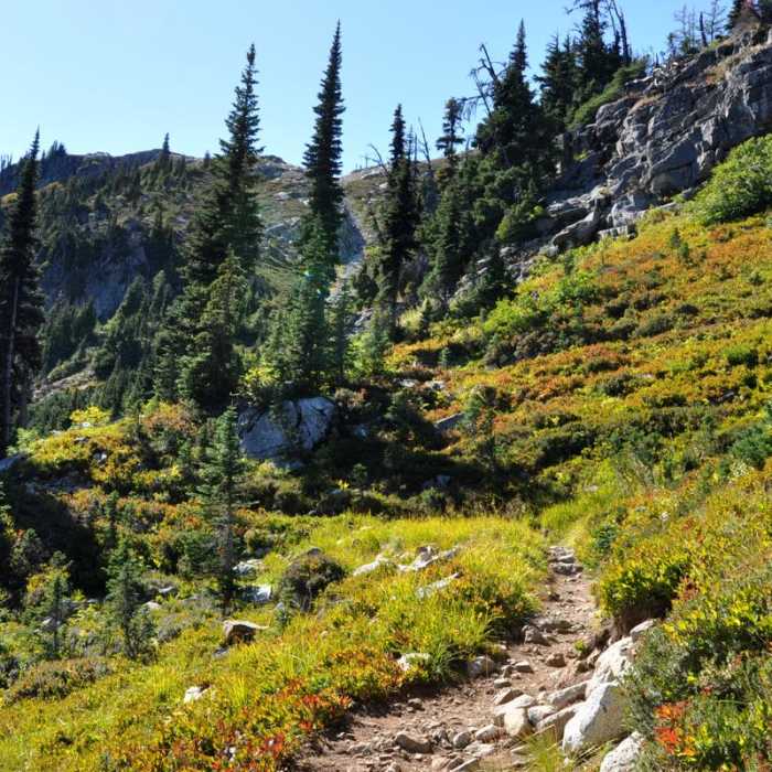 Near Maple Pass Loop
