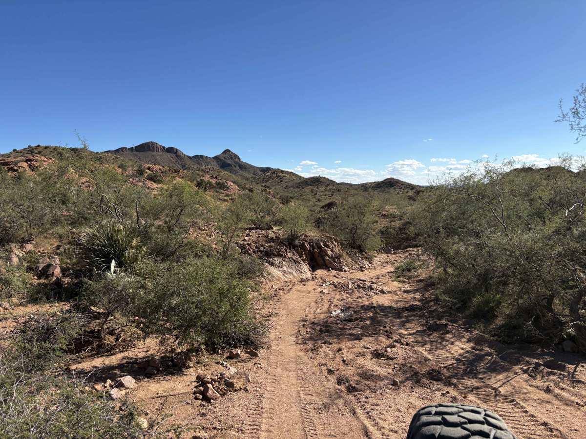 No More Chances photo 2