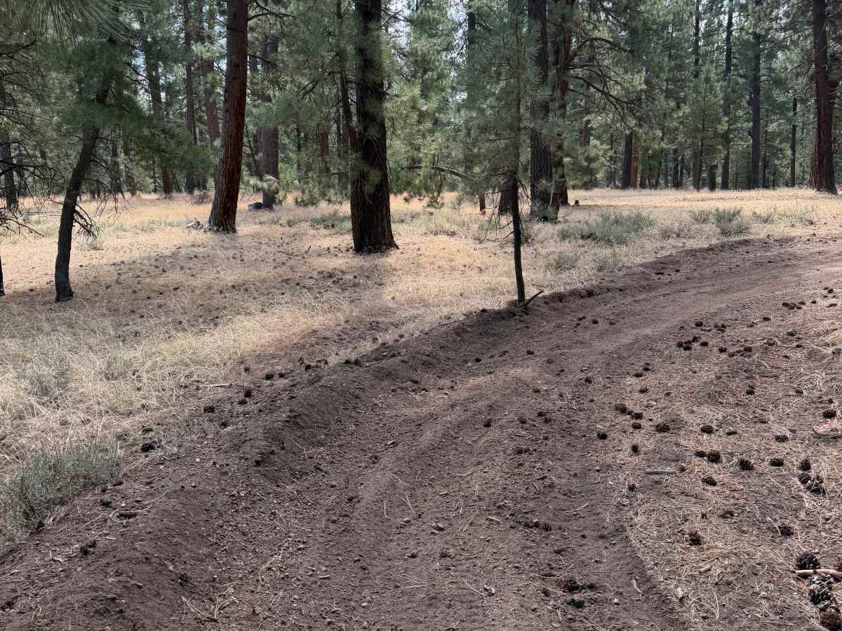 #43 trail photo