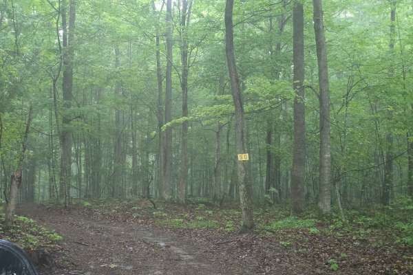 Trail 50