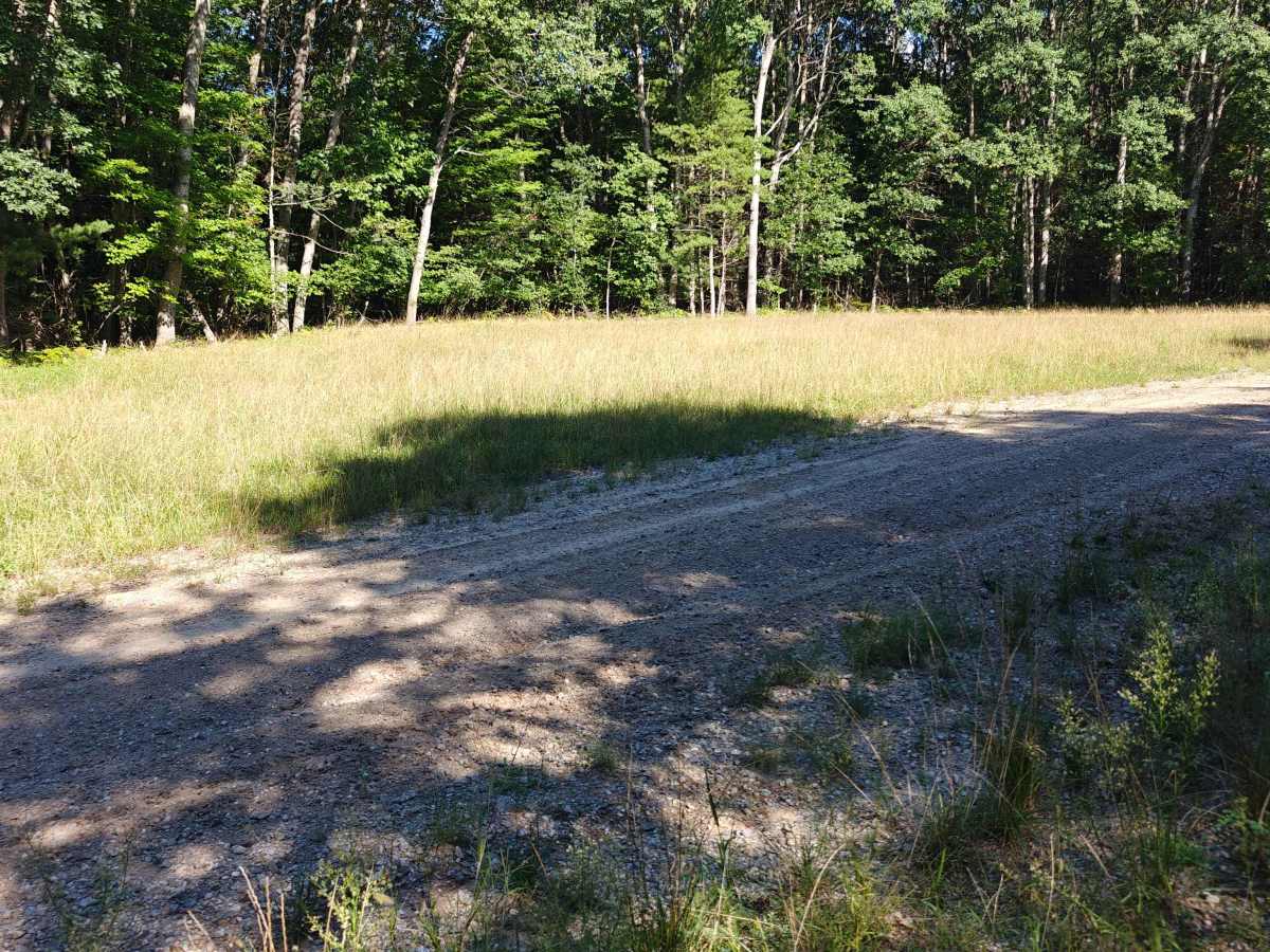 Timreck South Spur photo 2