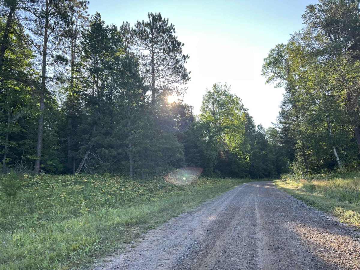 Tie Mill Road - FS 2402 trail photo