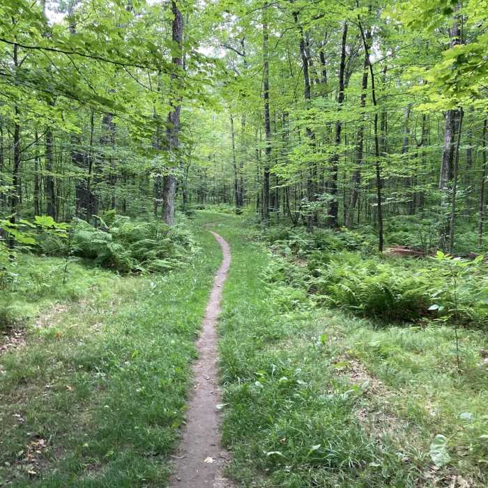Near Greely Creek Trail