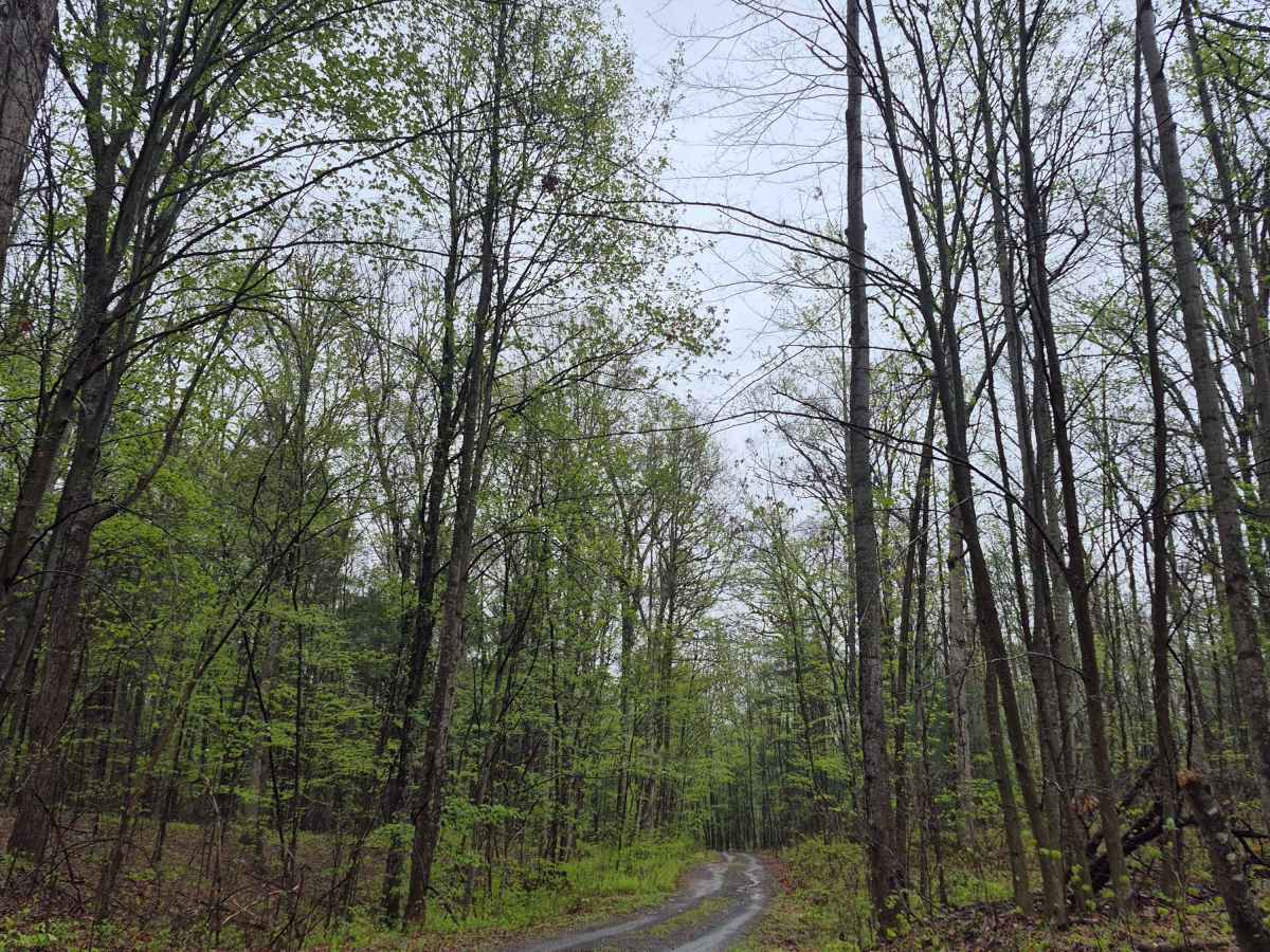 Rock Spring Trail trail photo