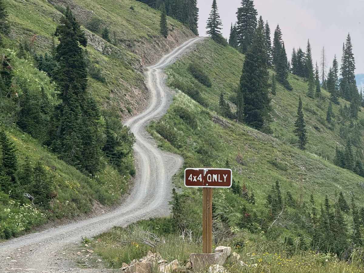 Paradise Divide photo 3