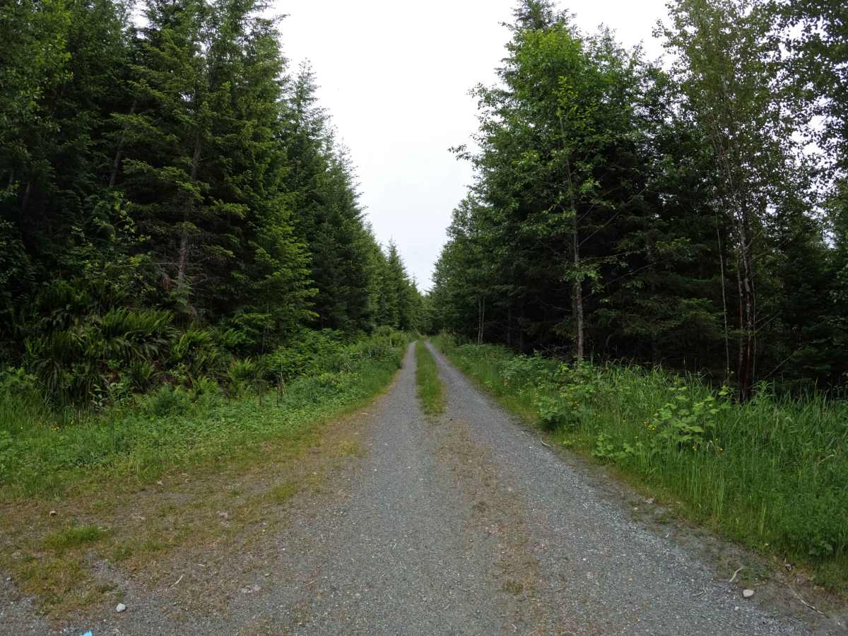 West Boundary - FS 1610 trail photo