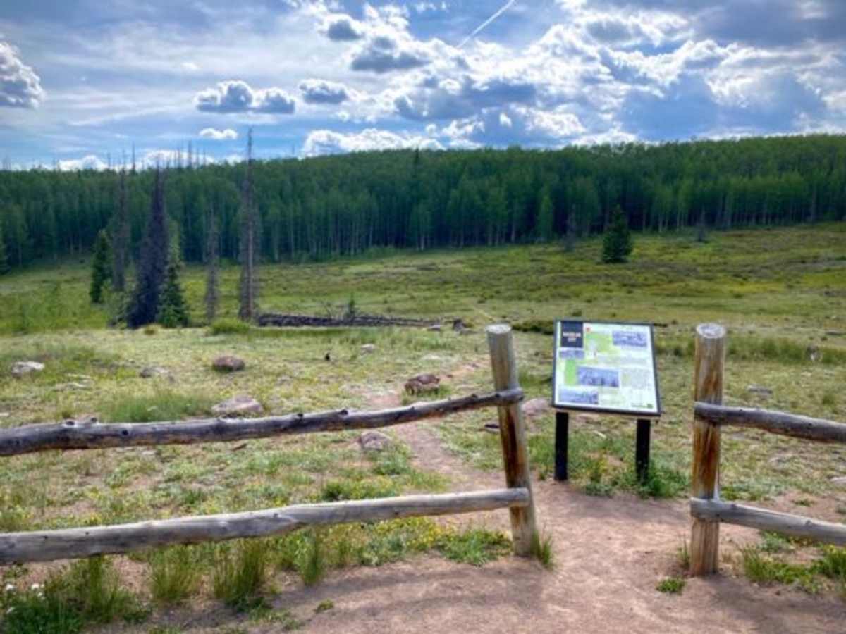 Historic Bachelor Loop Fr 503 - 504 photo 4