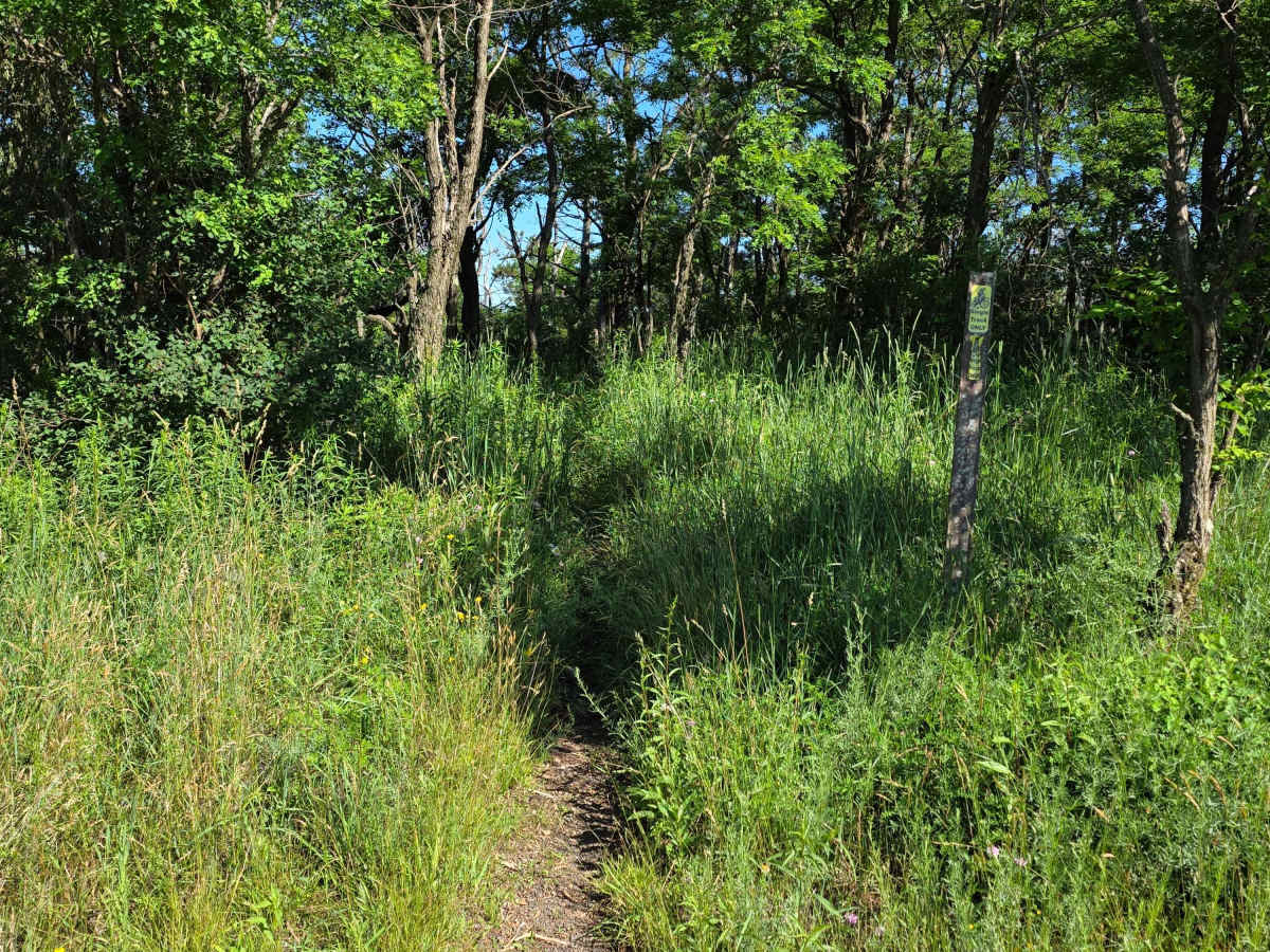 Single Track L photo 2