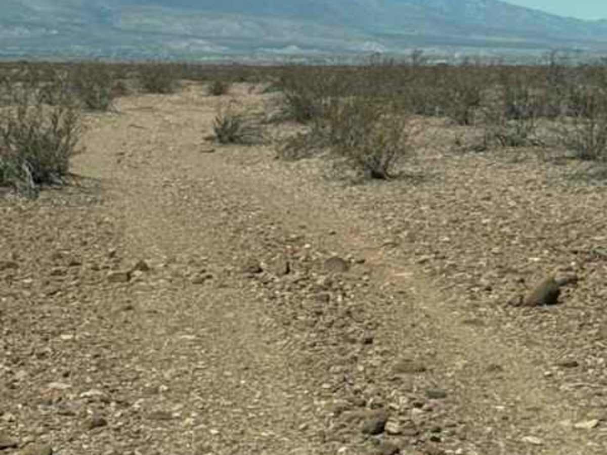 BLM PE1010 photo 4