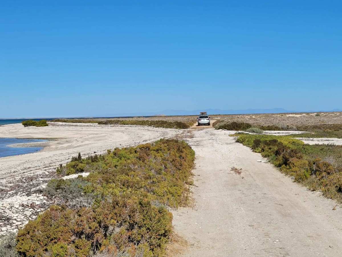 Laguna San Ignacio photo 2
