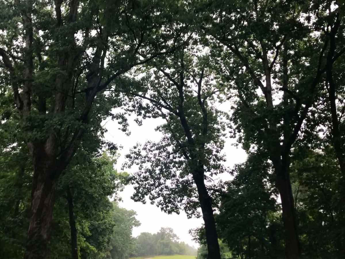 Township Road 232 photo 5