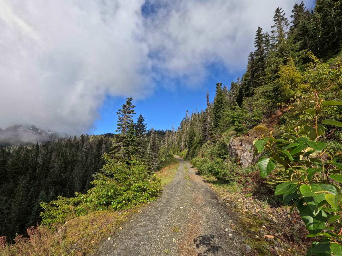 Blue Lake - FS 1230 photo 6