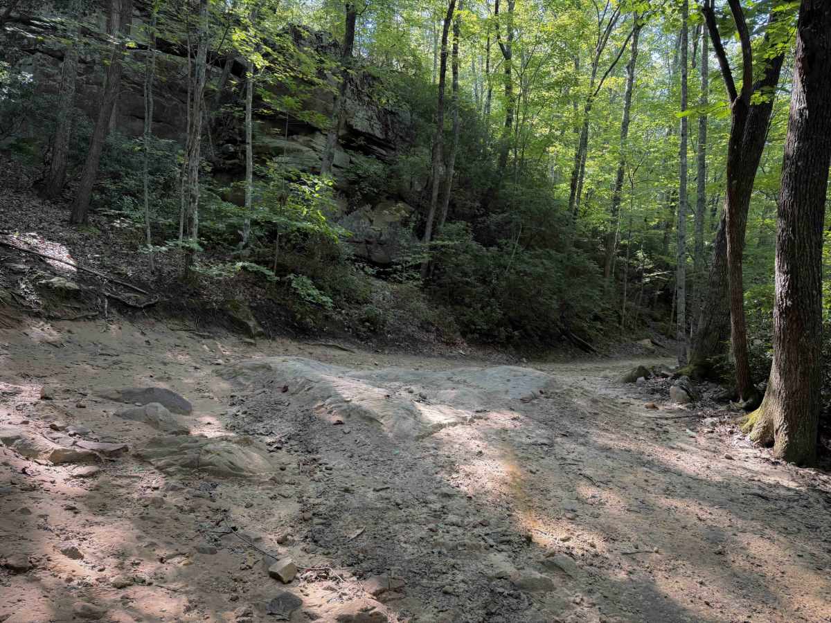 Louse Creek Trail 20  photo 5