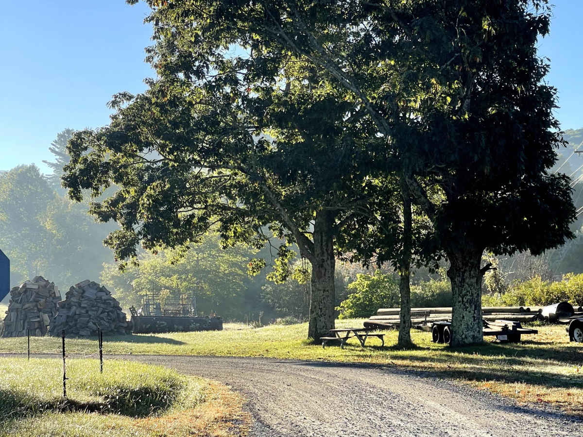 Rominger Road trail photo