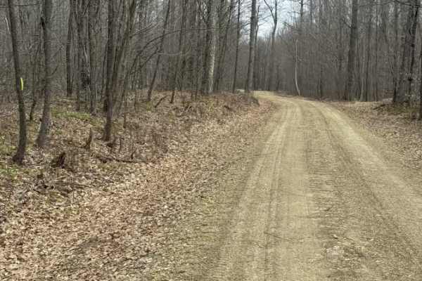 Whitey Run - FS 871938