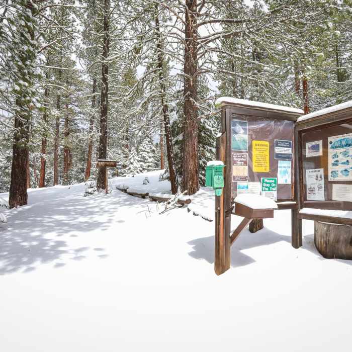 Near Mill Creek Falls