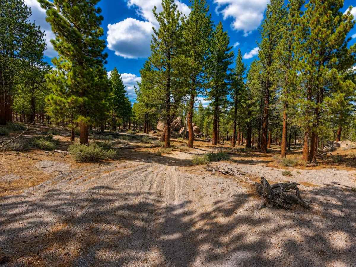 Hartley Spur Trail photo 5