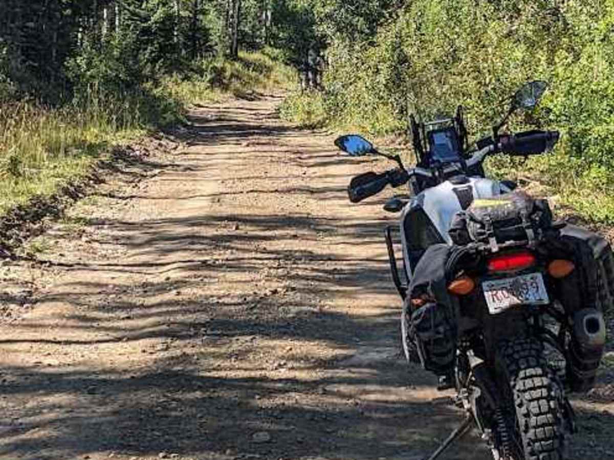 Lyndon Creek Road - Shared Section photo 6