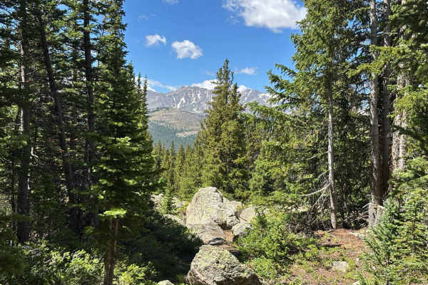 Bear Lake Road