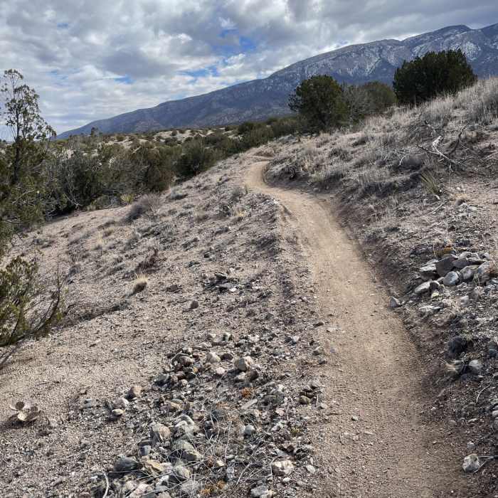 Sandia vista from Red Tail Trail Near Placitas loop: Down and Out to Red Tail to Prickly Pear
