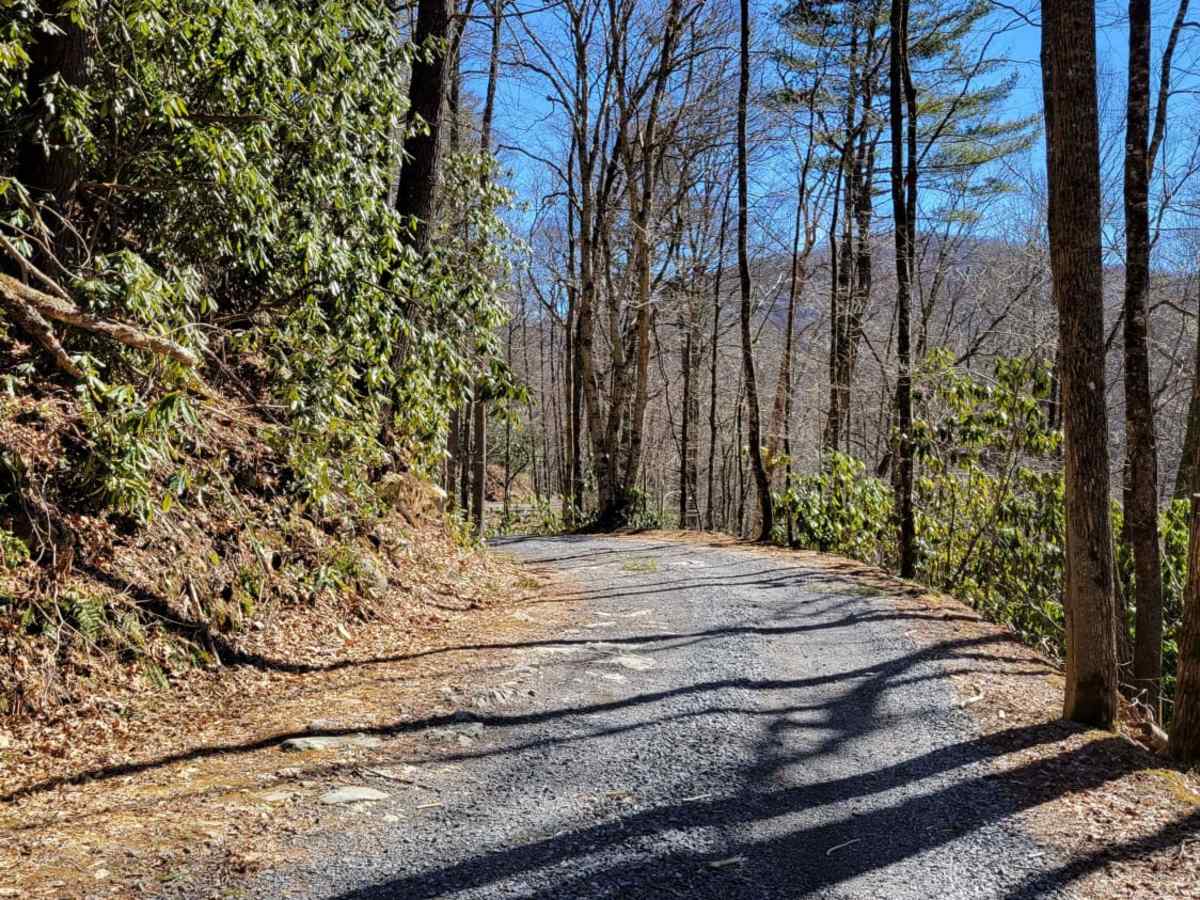 Cataloochee Turnpike to Big Creek photo 6